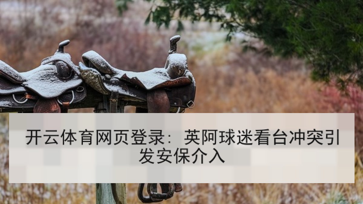 开云体育网页登录: 英阿球迷看台冲突引发安保介入 开云体育网页登录: 英阿球迷看台冲突引发安保介入